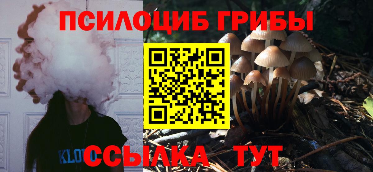 цены   Галлюциногенные грибы GOLDEN TEACHER  Вход с VPN  Сухой Лог 